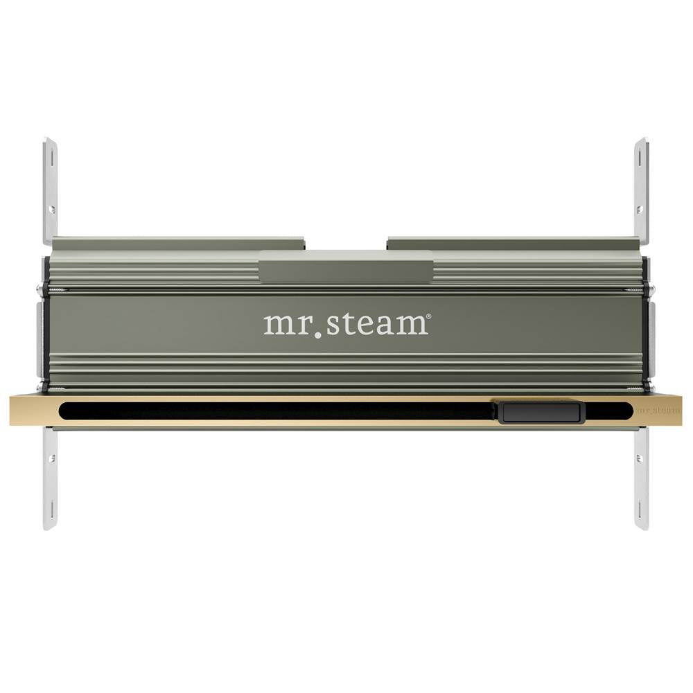 Mr. Steam - Linear 16 in. W. Steamhead with AromaTherapy Reservoir in Satin Brass - Satin Brass