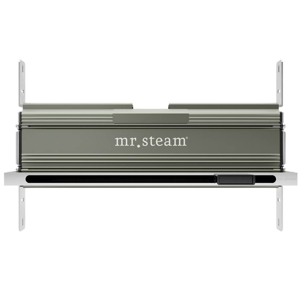 Mr. Steam - Linear 27 in. W. Steamhead with AromaTherapy Reservoir in Aluminum - Aluminum