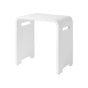Mr. Steam - MS 20 (in.)-W x 19 (in.)-L Shower Bench - White