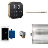 Mr. Steam - AirButler Linear Steam Shower Control Package with AirTempo Control and Linear SteamHead in Black Brushed Bronze - Black Brushed Bronze