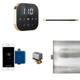 Mr. Steam - AirButler Linear Steam Shower Control Package with AirTempo Control and Linear SteamHead in Black Polished Brass - Black Polished Brass