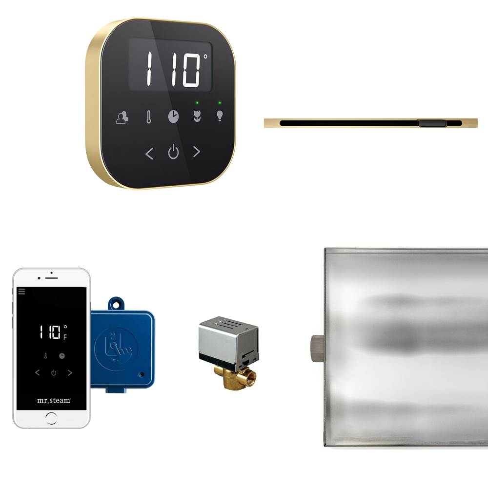 Mr. Steam - AirButler Linear Steam Shower Control Package with AirTempo Control and Linear SteamHead in Black Satin Brass - Black Satin Brass