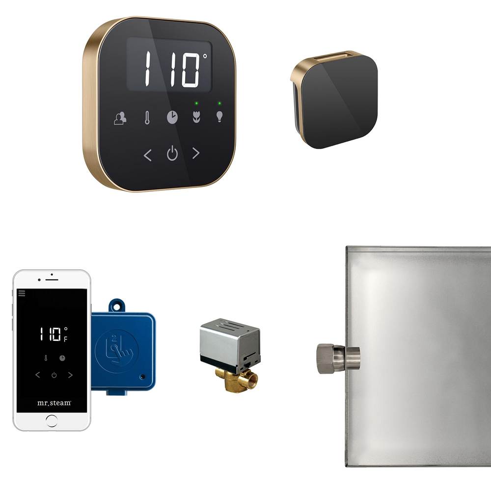Mr. Steam - AirButler Steam Shower Control Package with AirTempo Control and Aroma Glass SteamHead in Black Brushed Bronze - Black Brushed Bronze