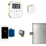 Mr. Steam - AirButler Steam Shower Control Package with AirTempo Control and Aroma Glass SteamHead in White Polished Brass - White Polished Brass