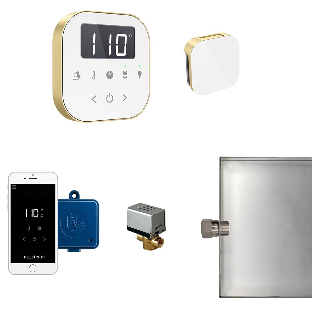 Mr. Steam - AirButler Steam Shower Control Package with AirTempo Control and Aroma Glass SteamHead in White Satin Brass - White Satin Brass