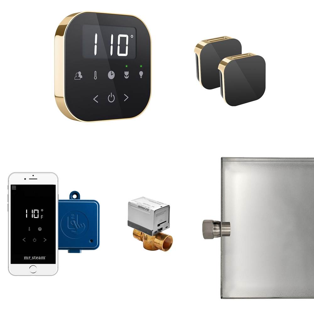 Mr. Steam - AirButler Max Steam Shower Control Package with AirTempo Control and Aroma Glass SteamHead in Black Polished Brass - Black Polished Brass
