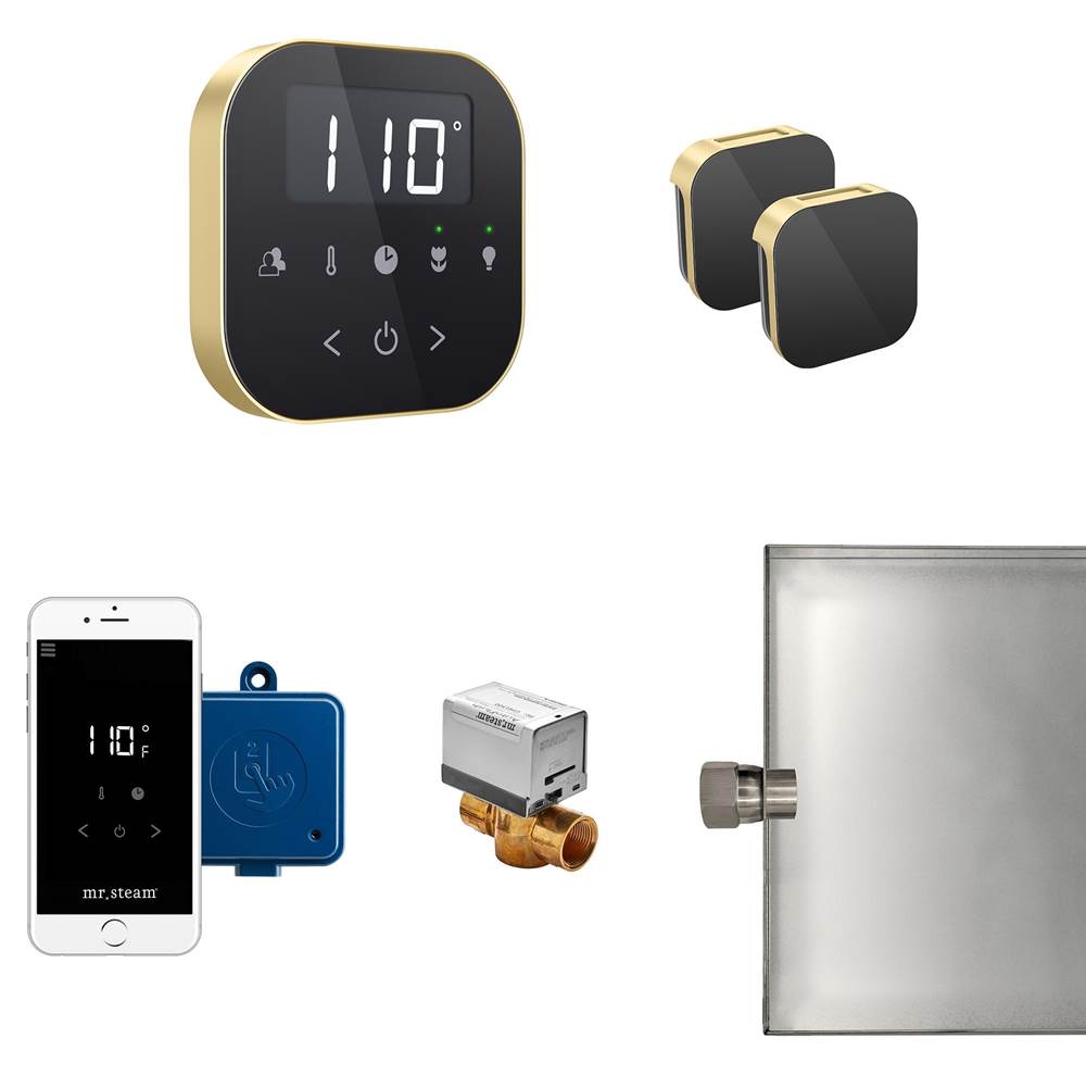 Mr. Steam - AirButler Max Steam Shower Control Package with AirTempo Control and Aroma Glass SteamHead in Black Satin Brass - Black Satin Brass