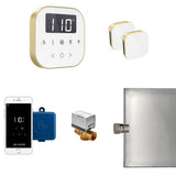 Mr. Steam - AirButler Max Steam Shower Control Package with AirTempo Control and Aroma Glass SteamHead in White Satin Brass - White Satin Brass