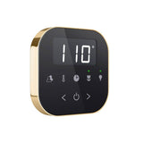 AirTempo Steam Shower Control and Aroma Glass SteamHead in Black Brushed Bronze
