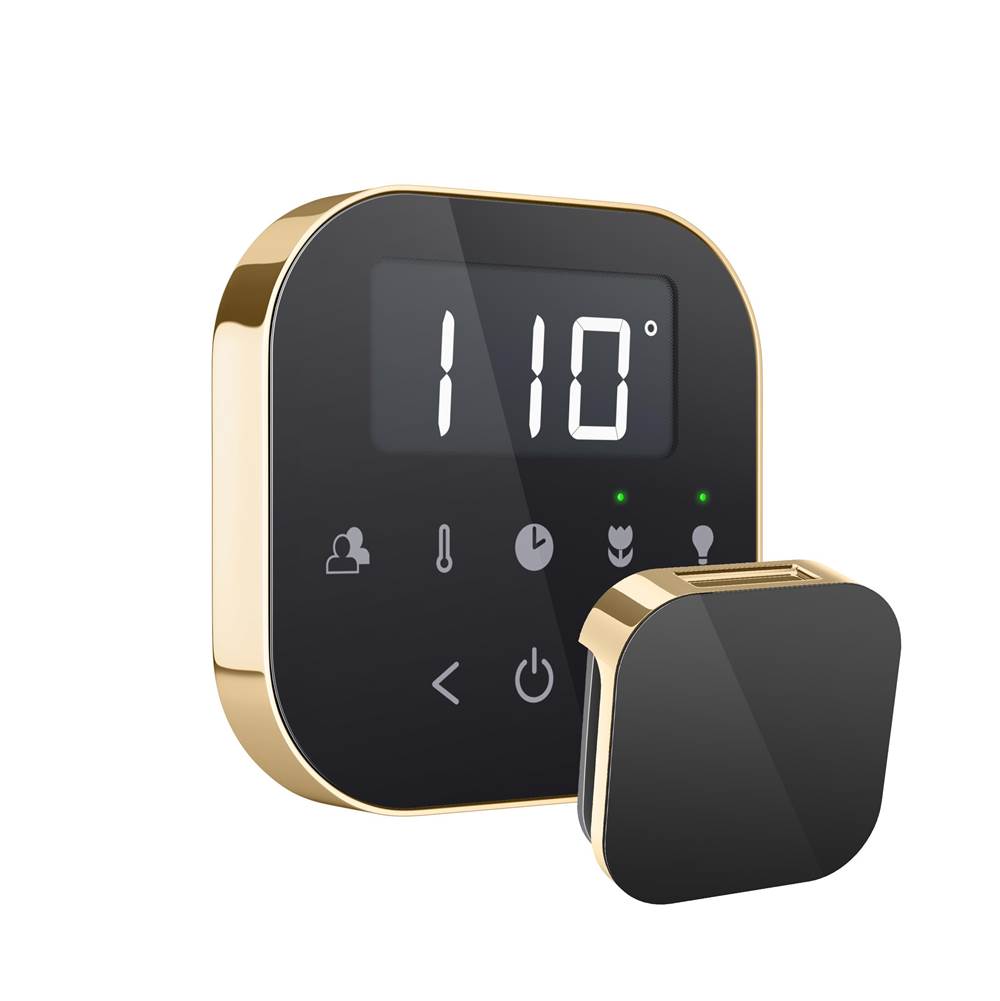 Mr. Steam - AirTempo Steam Shower Control and Aroma Glass SteamHead in Black Polished Brass - Black Polished Brass