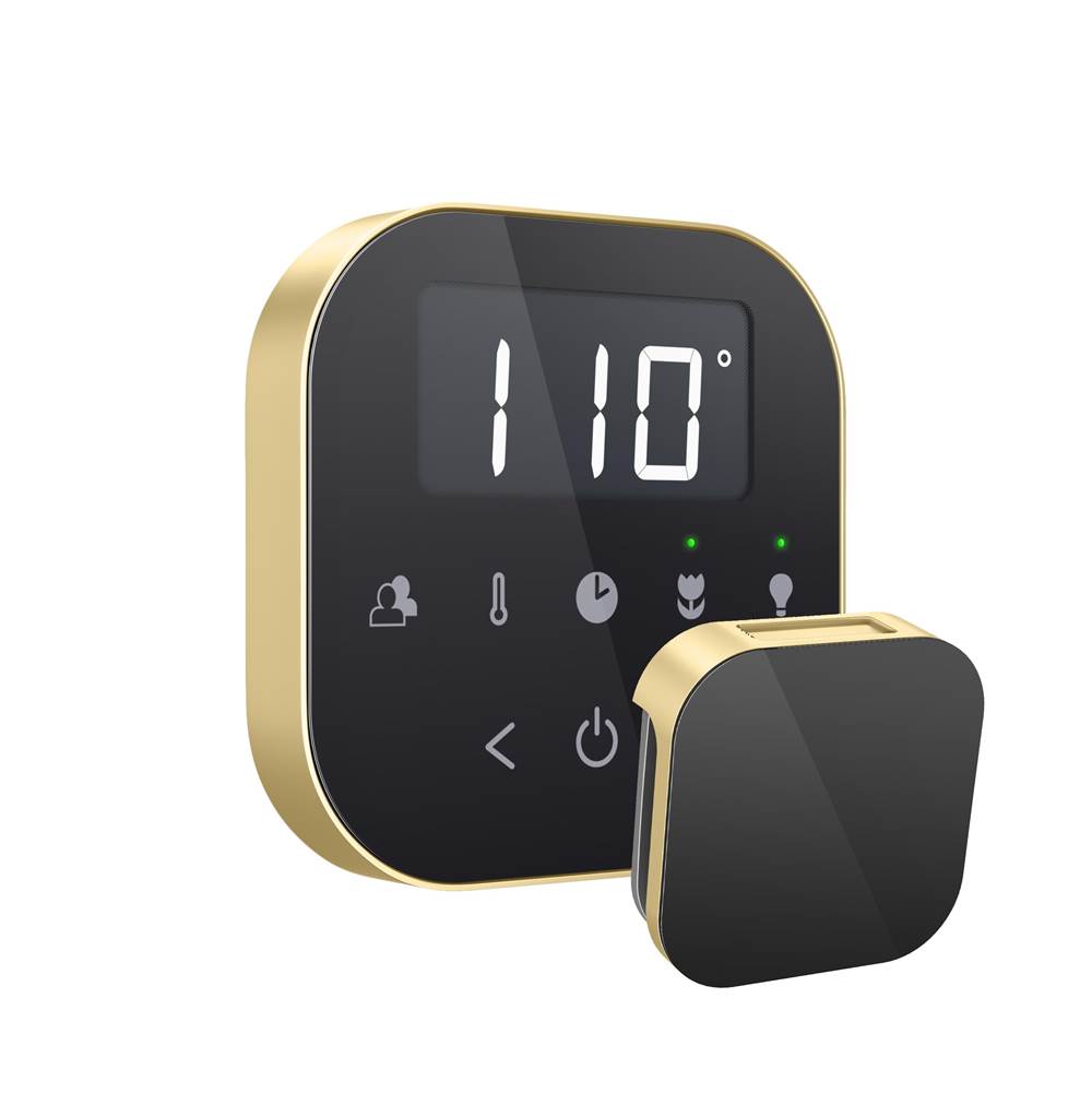 Mr. Steam - AirTempo Steam Shower Control and Aroma Glass SteamHead in Black Satin Brass - Black Satin Brass