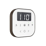 AirTempo Steam Shower Control and Aroma Glass SteamHead in White Brushed Bronze