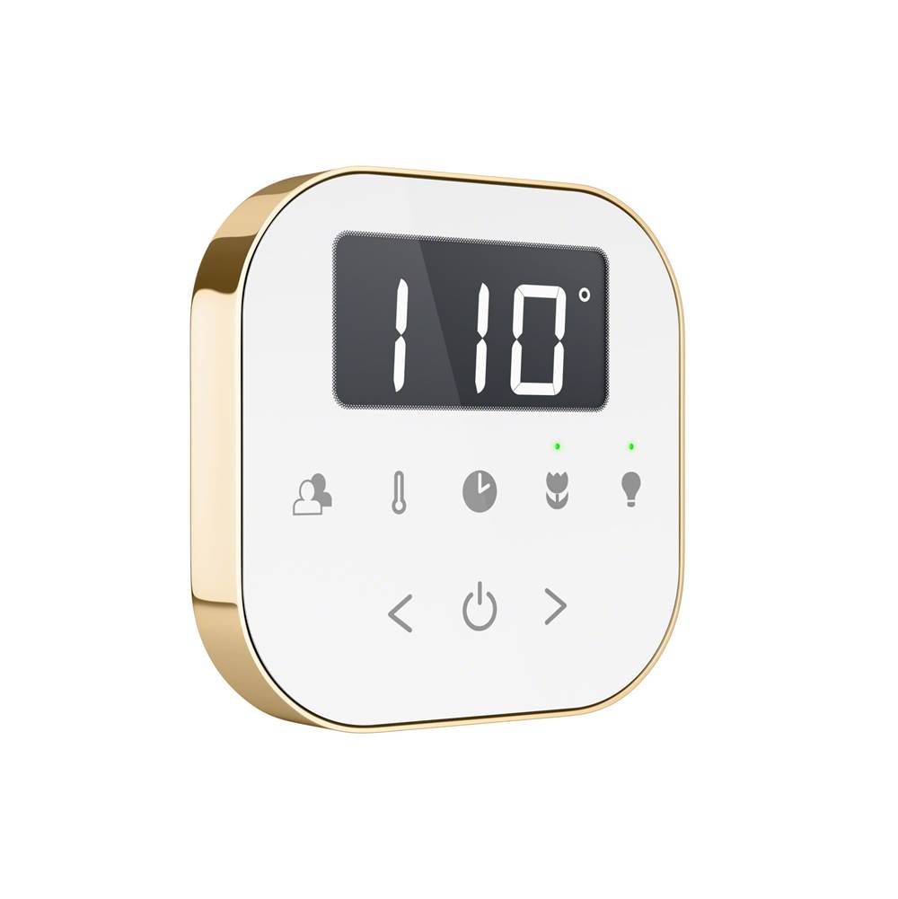 AirTempo Steam Shower Control and Aroma Glass SteamHead in White Brushed Bronze
