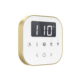 AirTempo Steam Shower Control and Aroma Glass SteamHead in White Brushed Bronze