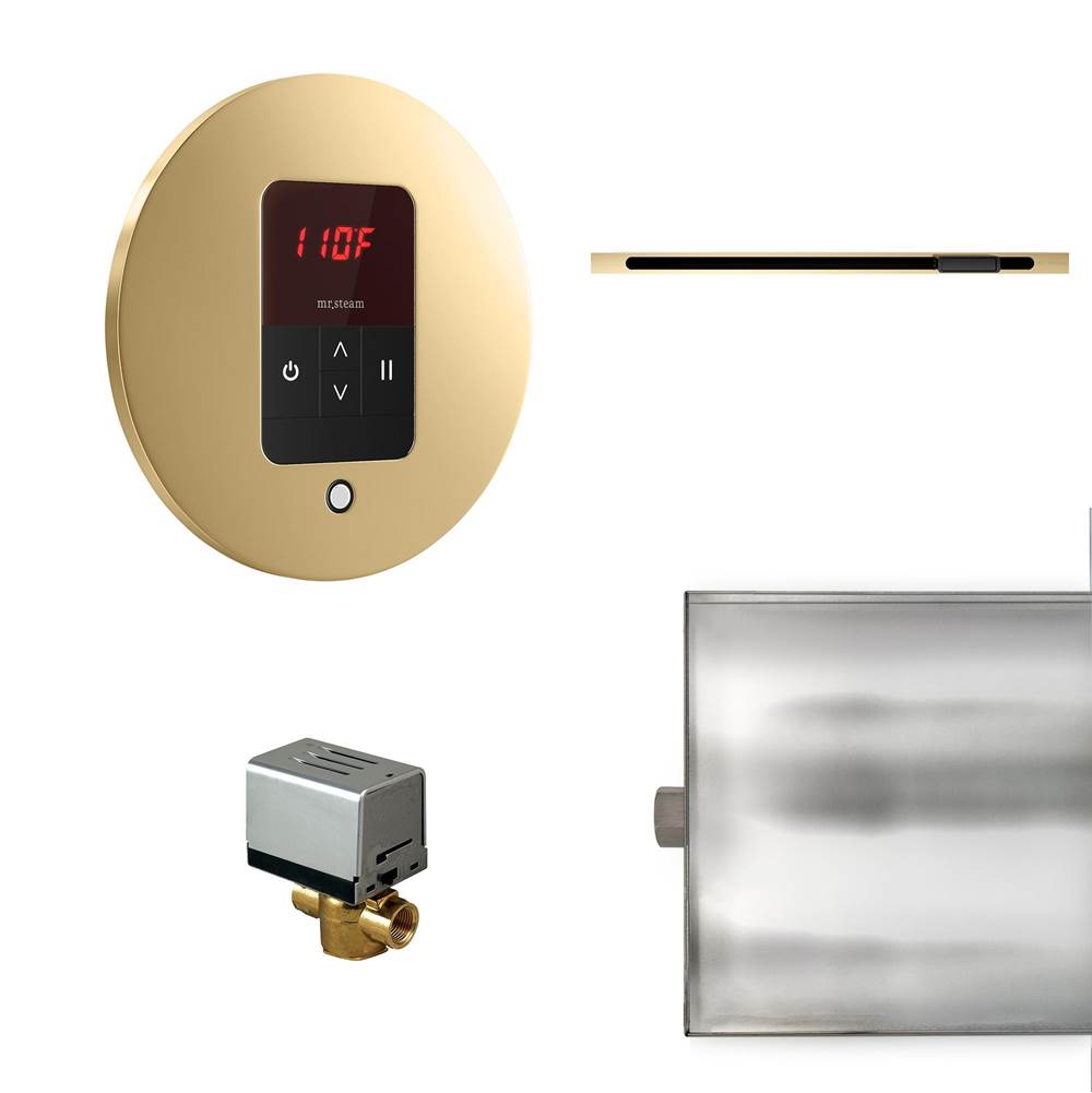Mr. Steam - Basic Butler Linear Steam Shower Control Package with iTempo Control and Linear SteamHead in Round Polished Brass - Polished Brass