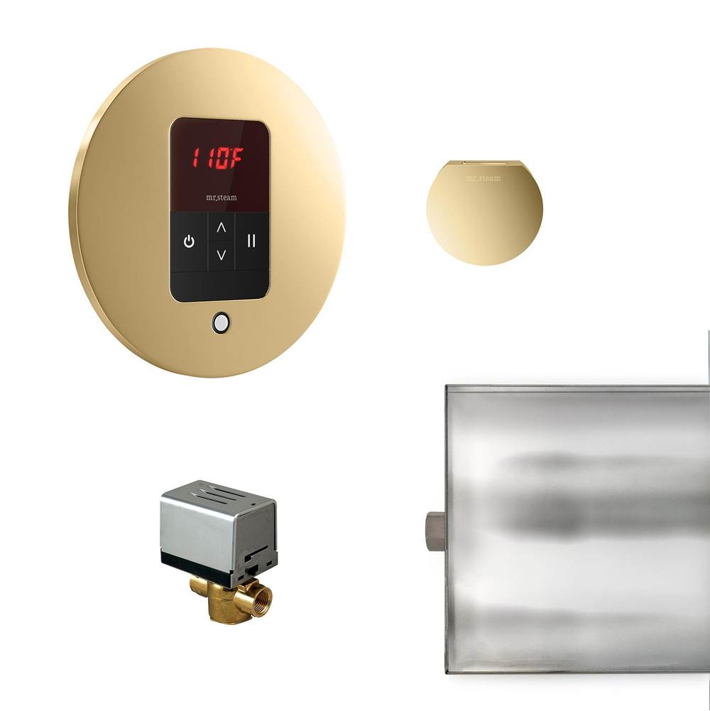 Mr. Steam - Basic Butler Steam Shower Control Package with iTempo Control and Aroma Designer SteamHead in Round Polished Brass - Polished Brass