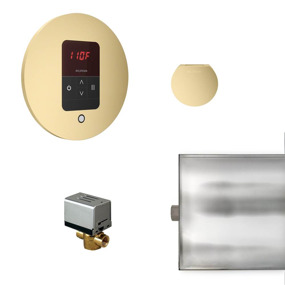 Mr. Steam - Basic Butler Steam Shower Control Package with iTempo Control and Aroma Designer SteamHead in Round Satin Brass - Satin Brass