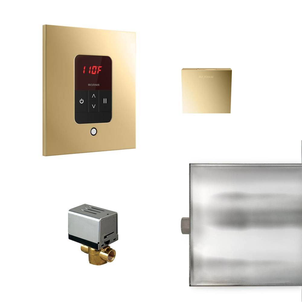 Mr. Steam - Basic Butler Steam Shower Control Package with iTempo Control and Aroma Designer SteamHead in Square Polished Brass - Polished Brass