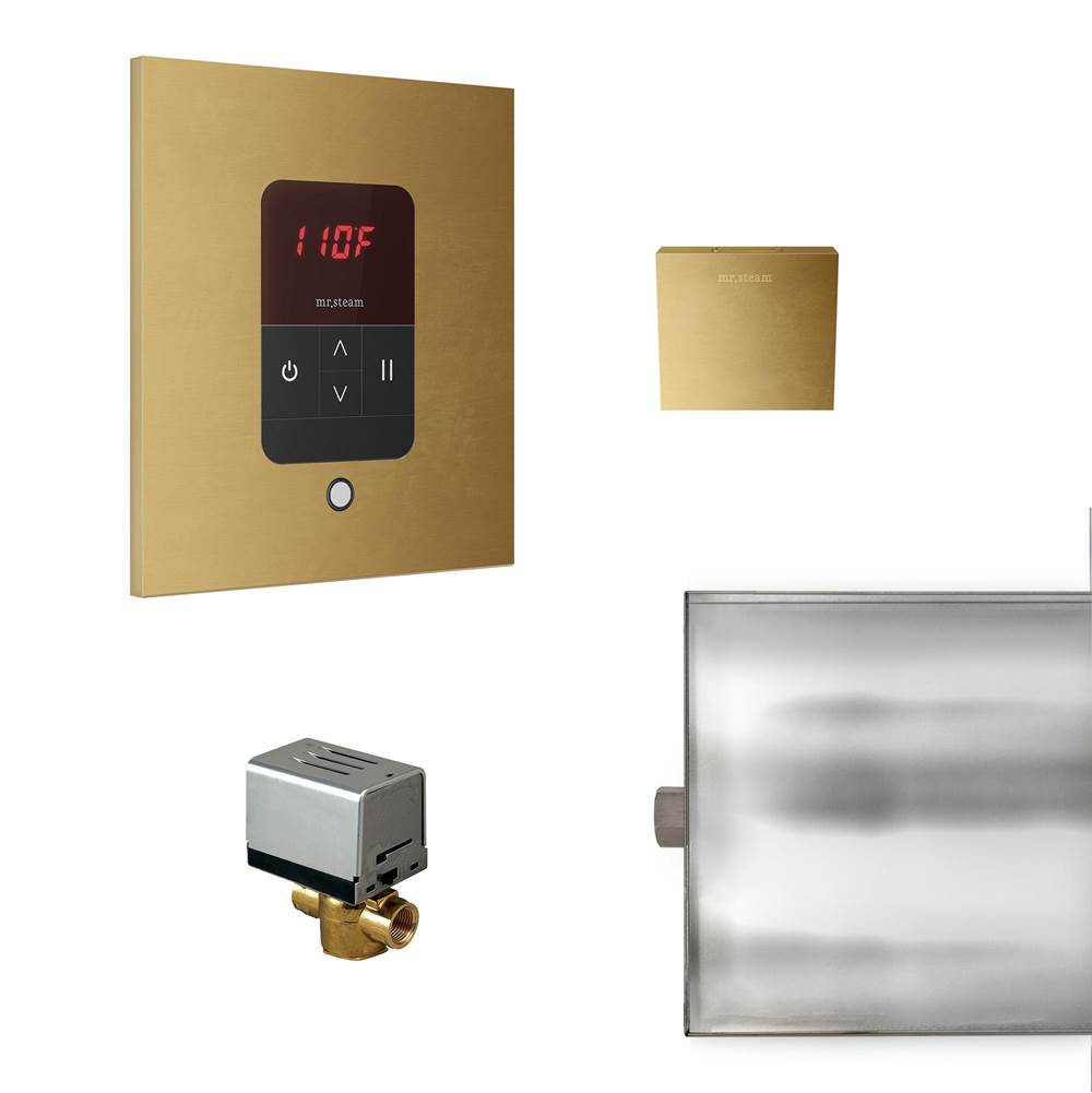 Mr. Steam - Basic Butler Steam Shower Control Package with iTempo Control and Aroma Designer SteamHead in Square Custom Plated/Unfinished - Custom Plated/Unfinished