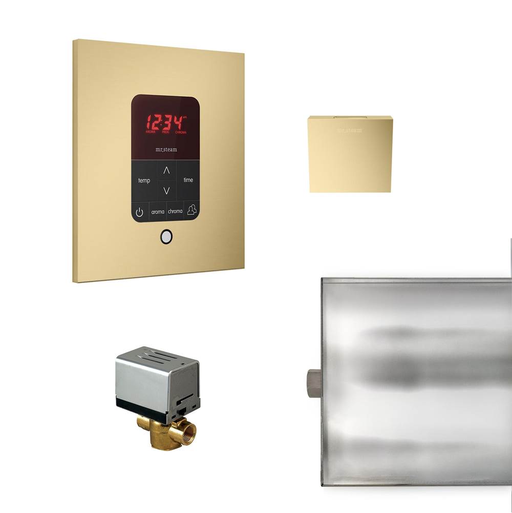 Mr. Steam - Basic Butler Steam Shower Control Package with iTempo Control and Aroma Designer SteamHead in Square Satin Brass - Satin Brass