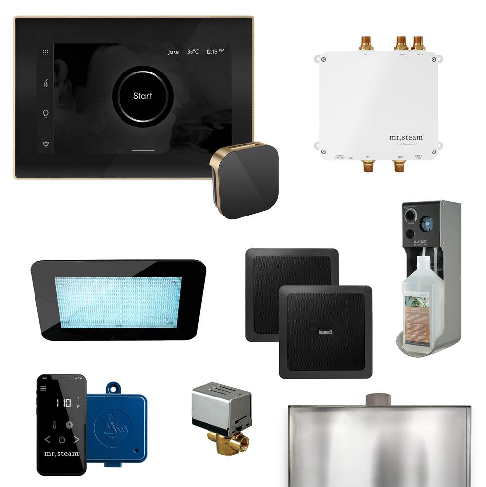 Mr. Steam - Bliss Programmable Steam Generator Control Kit with iSteamX Control and Aroma Glass Steamhead in Black Brushed Bronze - Black Brushed Bronze