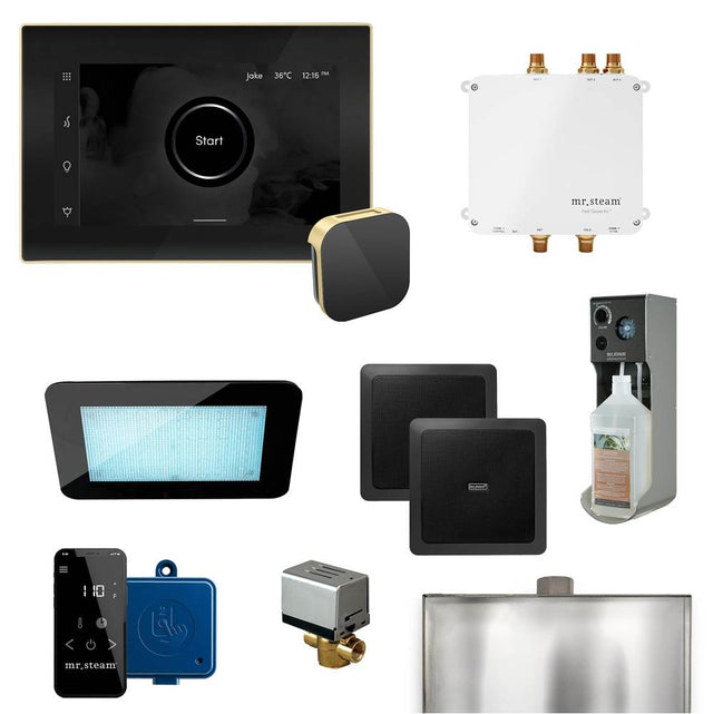 Mr. Steam - Bliss Programmable Steam Generator Control Kit with iSteamX Control and Aroma Glass Steamhead in Black Satin Brass - Black Satin Brass