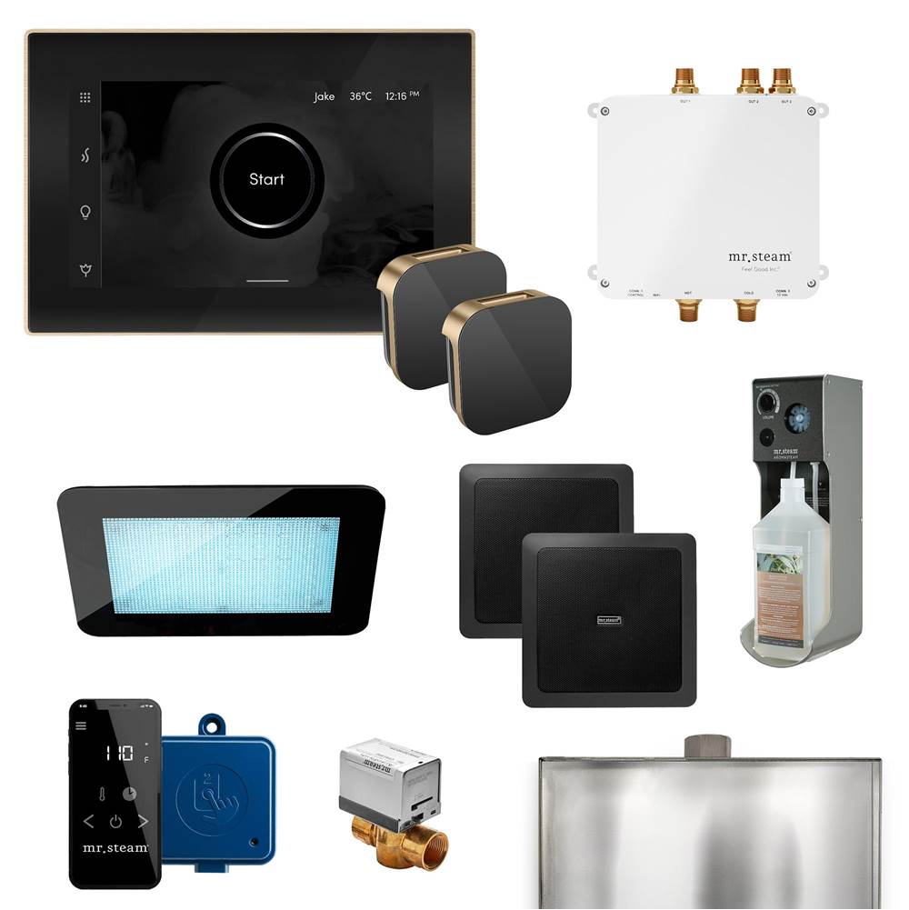 Mr. Steam - Bliss Max Programmable Steam Generator Control Kit with iSteamX Control and Aroma Glass Steamhead in Black Brushed Bronze - Black Brushed Bronze