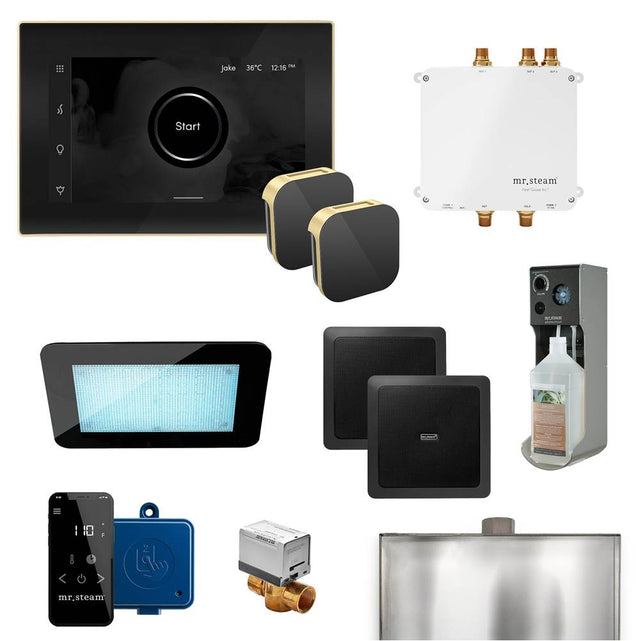 Mr. Steam - Bliss Max Programmable Steam Generator Control Kit with iSteamX Control and Aroma Glass Steamhead in Black Satin Brass - Black Satin Brass