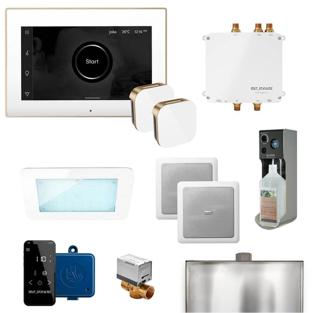 Mr. Steam - Bliss Max Programmable Steam Generator Control Kit with iSteamX Control and Aroma Glass Steamhead in White Brushed Bronze - White Brushed Bronze