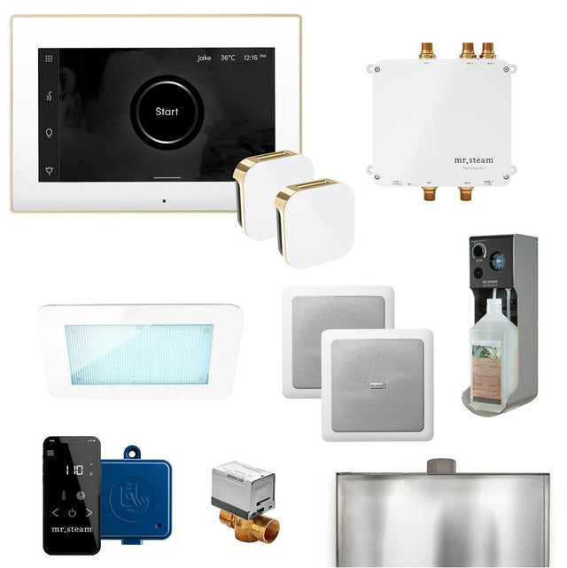 Mr. Steam - Bliss Max Programmable Steam Generator Control Kit with iSteamX Control and Aroma Glass Steamhead in White Polished Brass - White Polished Brass