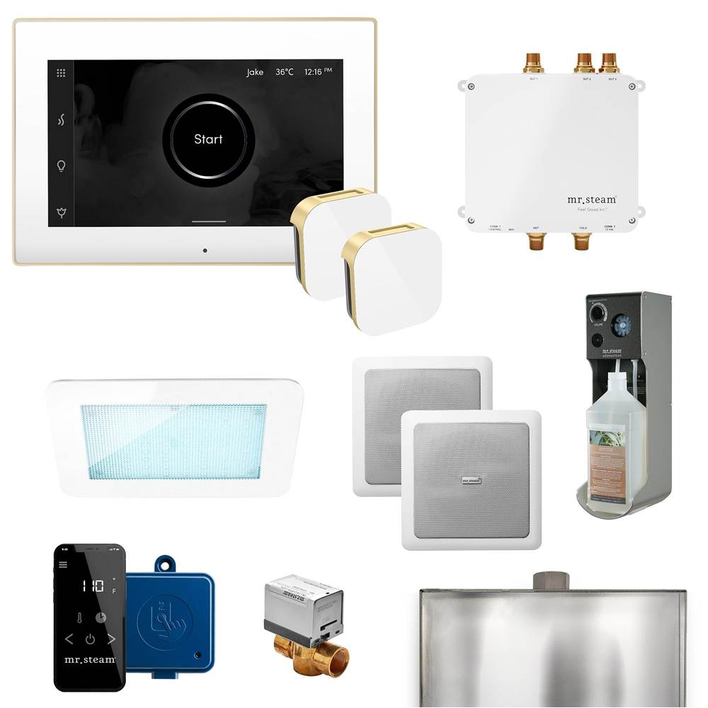 Mr. Steam - Bliss Max Programmable Steam Generator Control Kit with iSteamX Control and Aroma Glass Steamhead in White Satin Brass - White Satin Brass