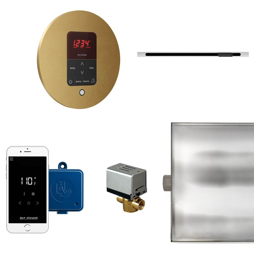 Mr. Steam - Butler Linear Steam Shower Control Package with iTempoPlus Control and Linear SteamHead in Round Custom Plated/Unfinished - Custom Plated/Unfinished