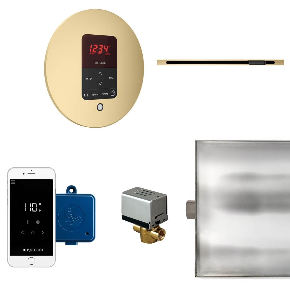 Mr. Steam - Butler Linear Steam Shower Control Package with iTempoPlus Control and Linear SteamHead in Round Satin Brass - Satin Brass