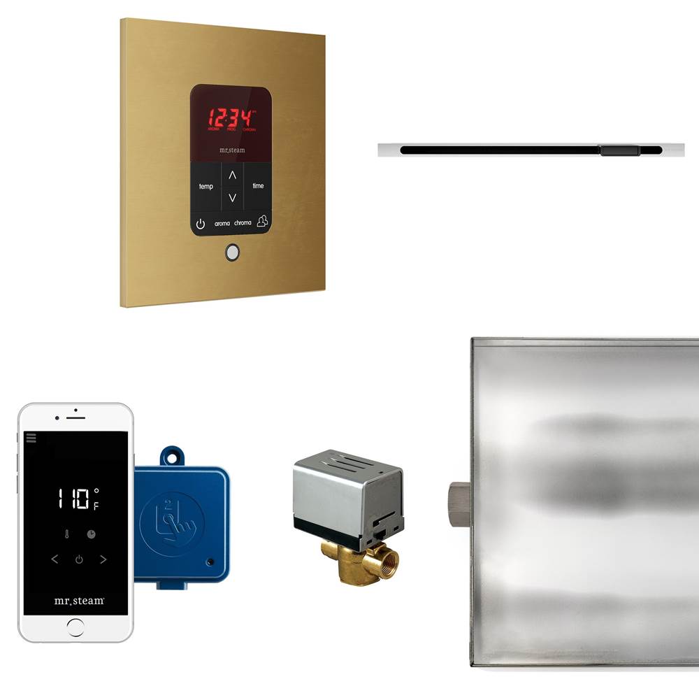Mr. Steam - Butler Linear Steam Shower Control Package with iTempoPlus Control and Linear SteamHead in Square Custom Plated/Unfinished - Custom Plated/Unfinished