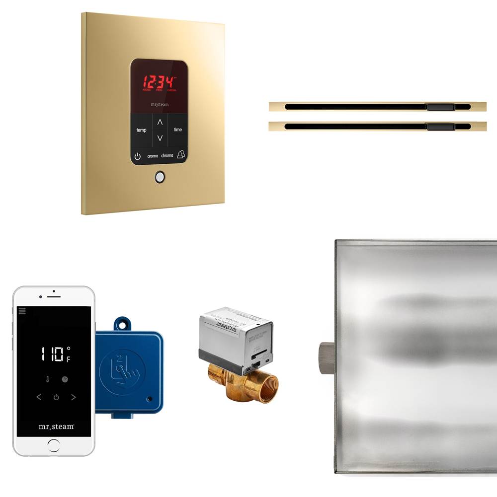 Mr. Steam - Butler Max Linear Steam Shower Control Package with iTempoPlus Control and Linear SteamHead in Square Polished Brass - Polished Brass