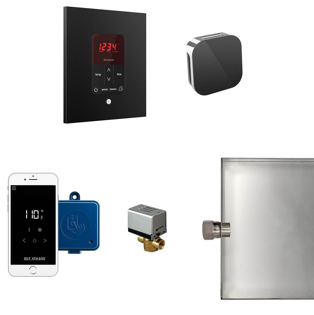 Mr. Steam - Butler Steam Shower Control Package with iTempoPlus Control and Aroma Designer SteamHead in Square Glass Black - Glass Black