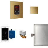 Mr. Steam - Butler Steam Shower Control Package with iTempoPlus Control and Aroma Designer SteamHead in Square Custom Plated/Unfinished - Custom Plated/Unfinished