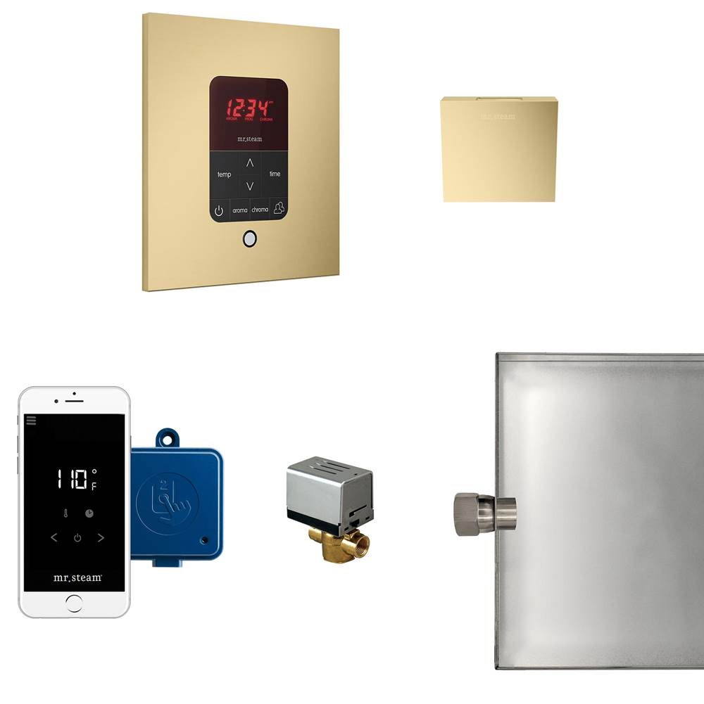 Mr. Steam - Butler Steam Shower Control Package with iTempoPlus Control and Aroma Designer SteamHead in Square Satin Brass - Satin Brass