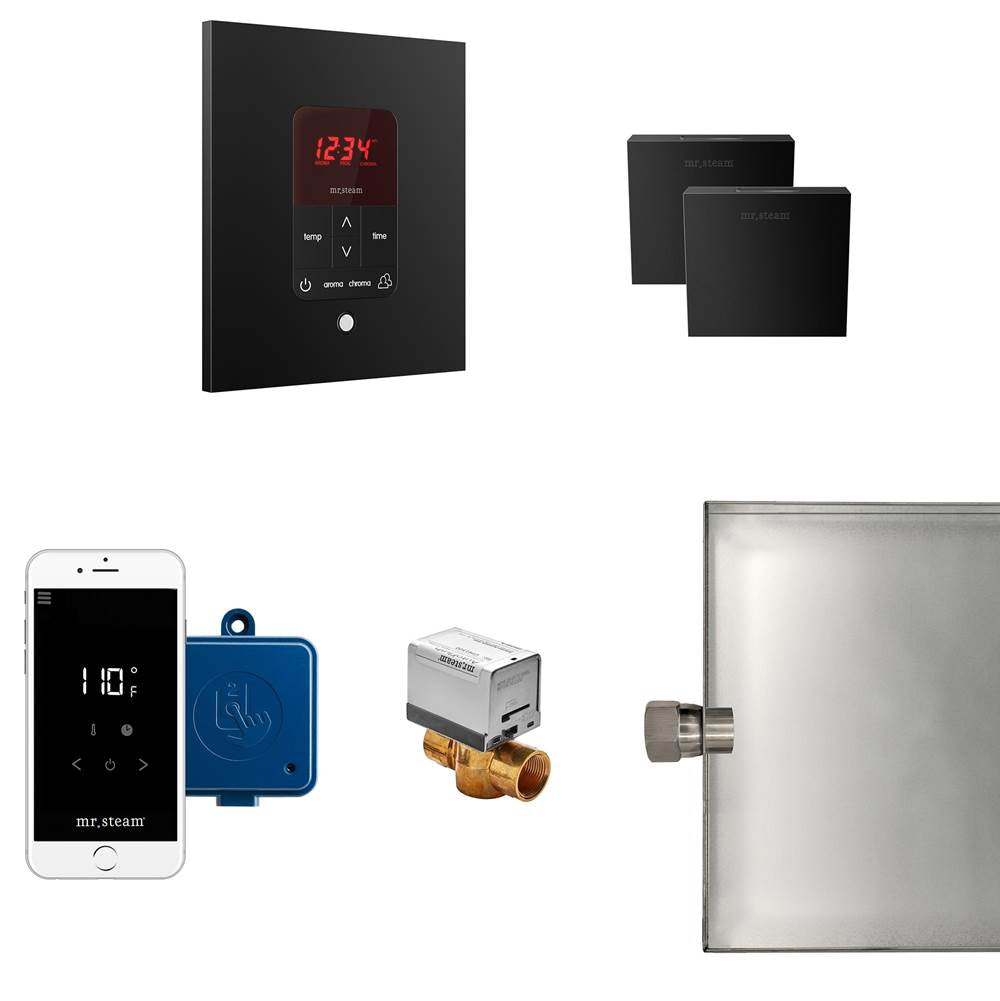 Mr. Steam - Butler Max Steam Shower Control Package with iTempoPlus Control and Aroma Designer SteamHead in Square Matte Black - Matte Black