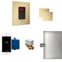 Mr. Steam - Butler Max Steam Shower Control Package with iTempoPlus Control and Aroma Designer SteamHead in Square Satin Brass - Satin Brass