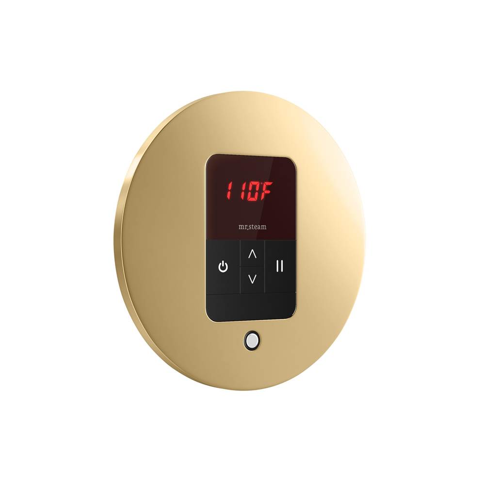 iTempo Steam Shower Control and Aroma Designer SteamHead in Round Brushed Bronze
