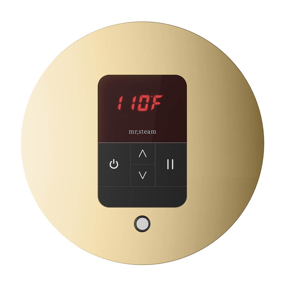 iTempo Steam Shower Control and Aroma Designer SteamHead in Round Brushed Bronze
