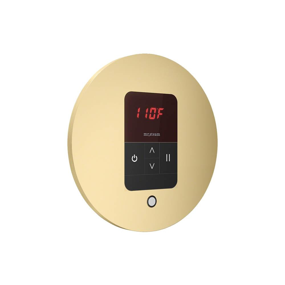 iTempo Steam Shower Control and Aroma Designer SteamHead in Round Brushed Bronze