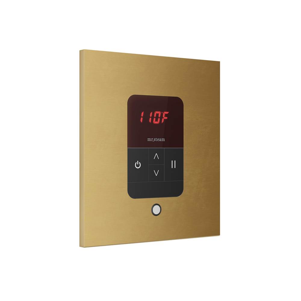 iTempo Steam Shower Control and Aroma Designer SteamHead in Square Brushed Bronze