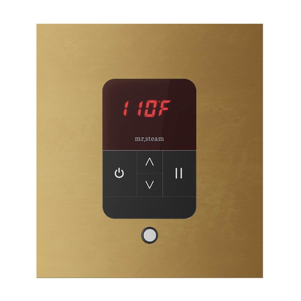 iTempo Steam Shower Control and Aroma Designer SteamHead in Square Brushed Bronze