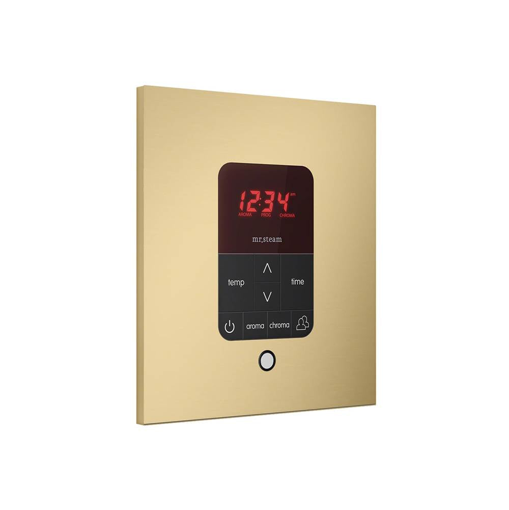 iTempo Steam Shower Control and Aroma Designer SteamHead in Square Brushed Bronze