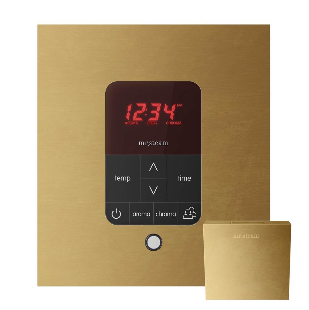 Mr. Steam - iTempoPlus Steam Shower Control and Aroma Designer SteamHead in Square Custom Plated/Unfinished - Custom Plated/Unfinished