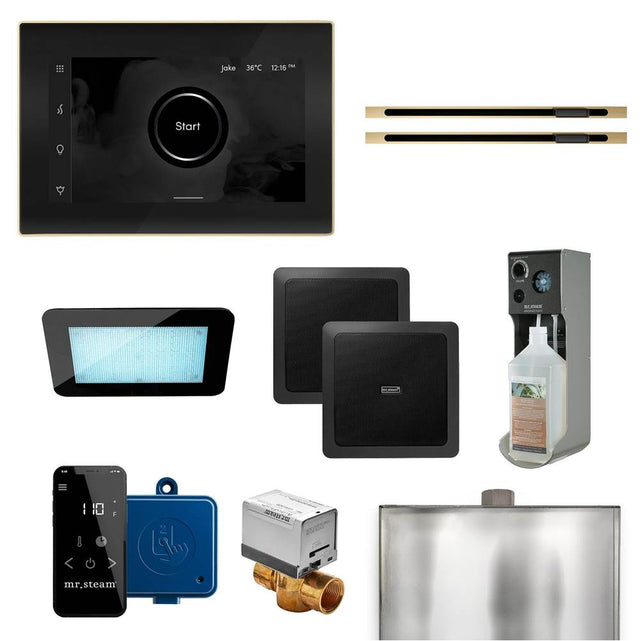 Mr. Steam - XDream Max Linear Programmable Steam Generator Control Kit with iSteamX Control and Linear Steamhead in Black Satin Brass - Black Satin Brass