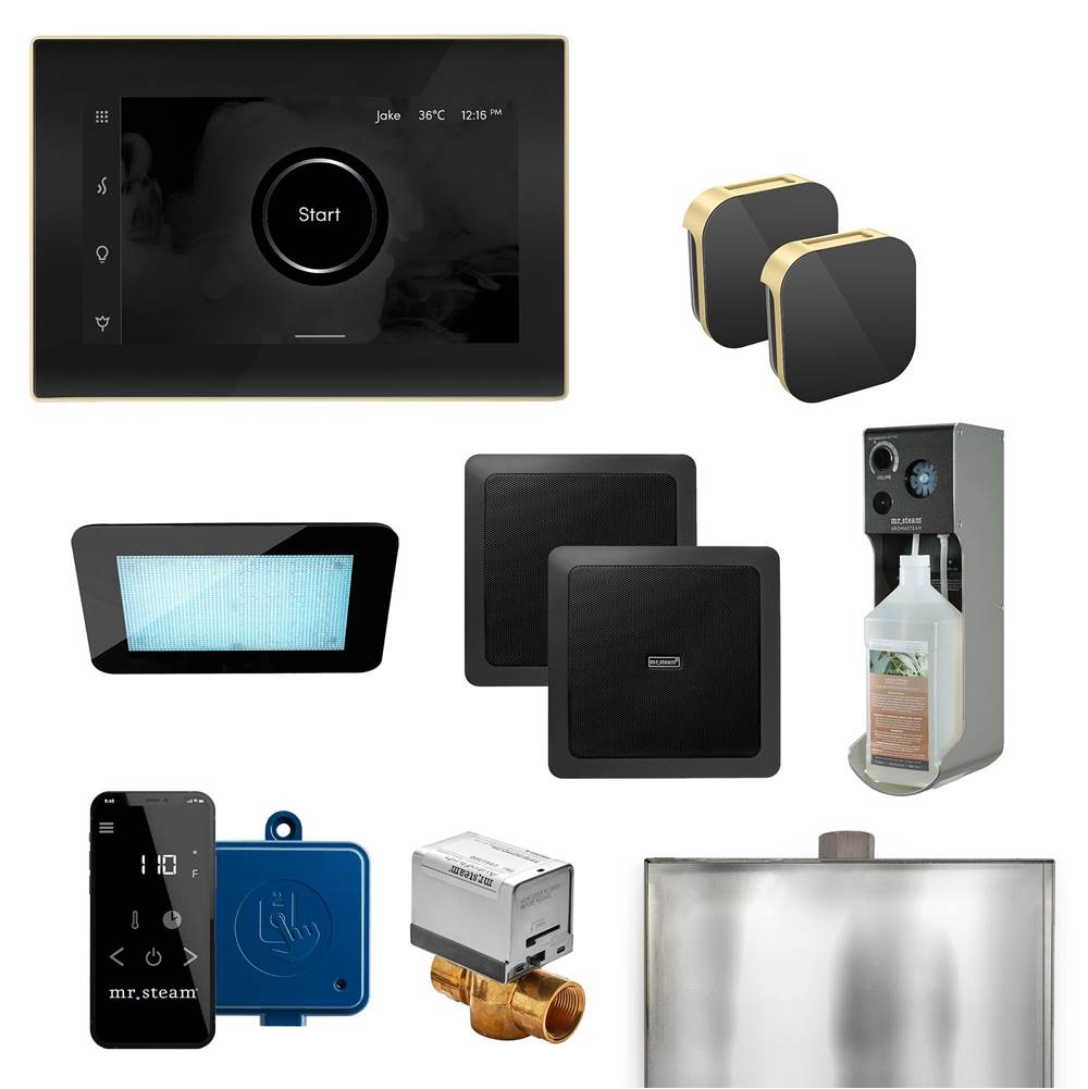 Mr. Steam - XDream Max Programmable Steam Generator Control Kit with iSteamX Control and Aroma Glass Steamhead in Black Satin Brass - Black Satin Brass
