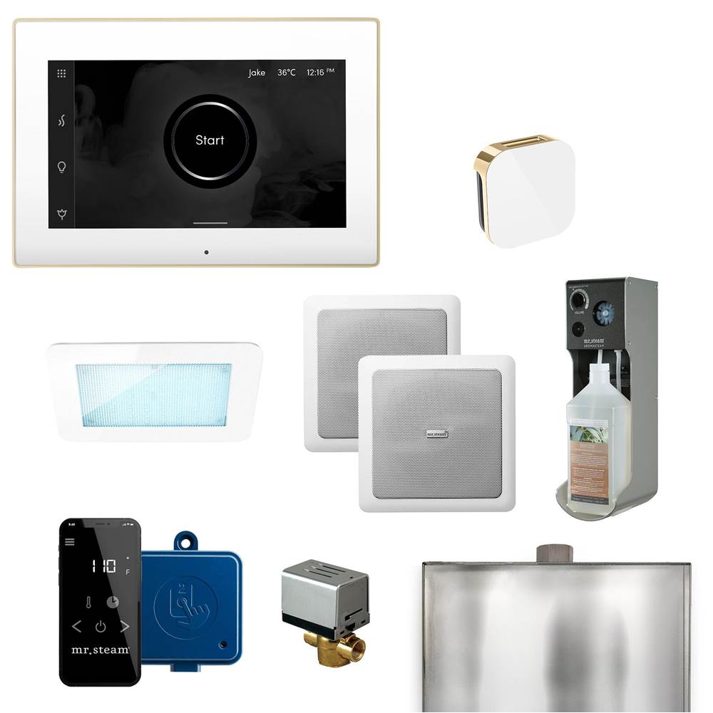 Mr. Steam - XDream Programmable Steam Generator Control Kit with iSteamX Control and Aroma Glass Steamhead in White Polished Brass - White Polished Brass